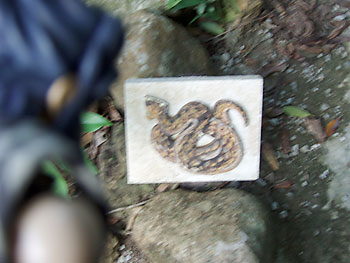 �؉A�̃u���B